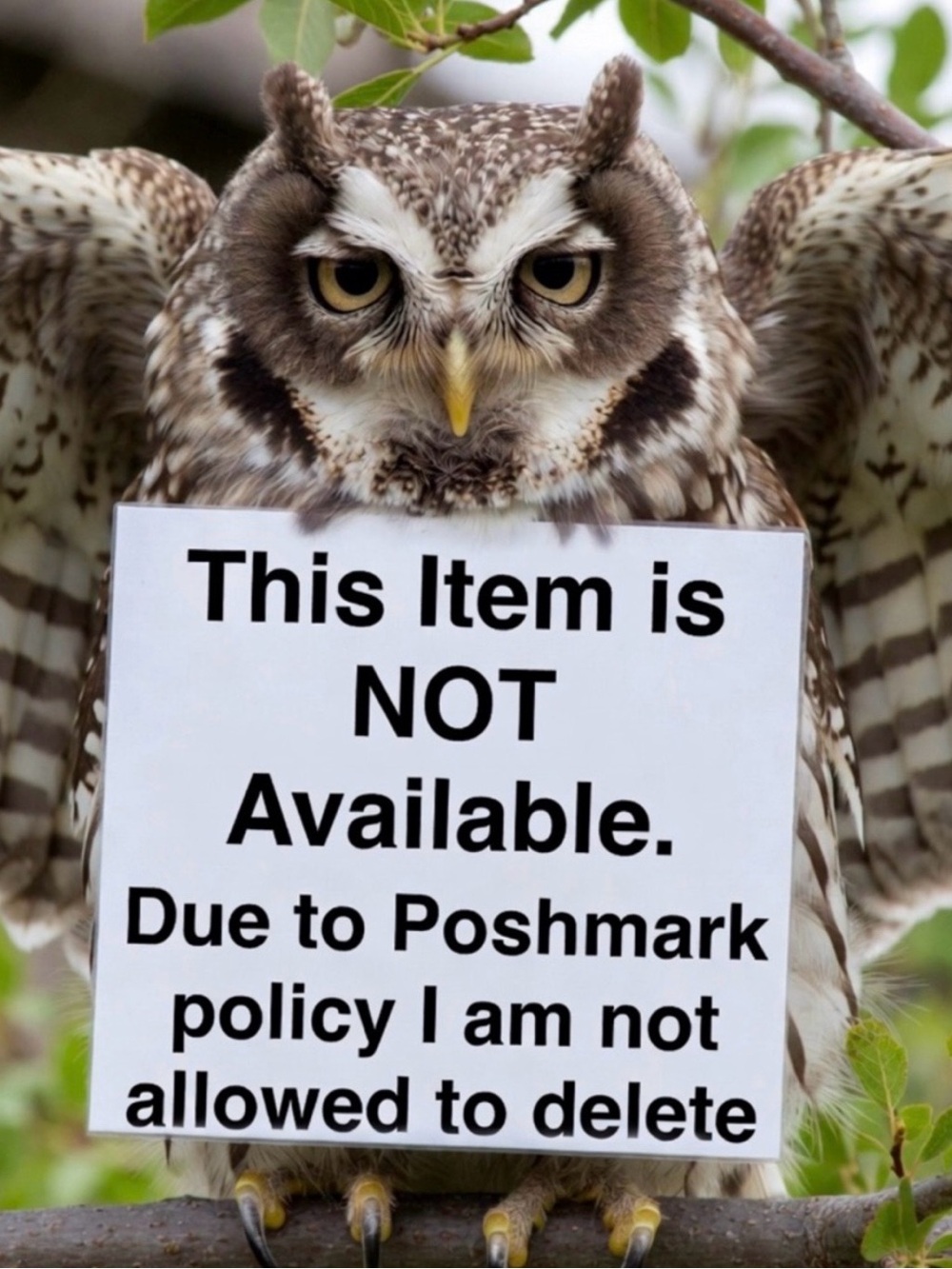 NOT AVAILABLE
